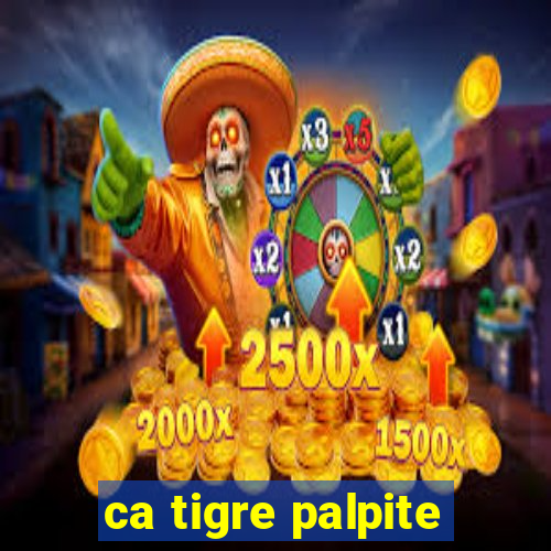 ca tigre palpite